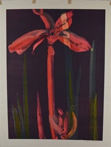 Image description is not available for DU2023.76